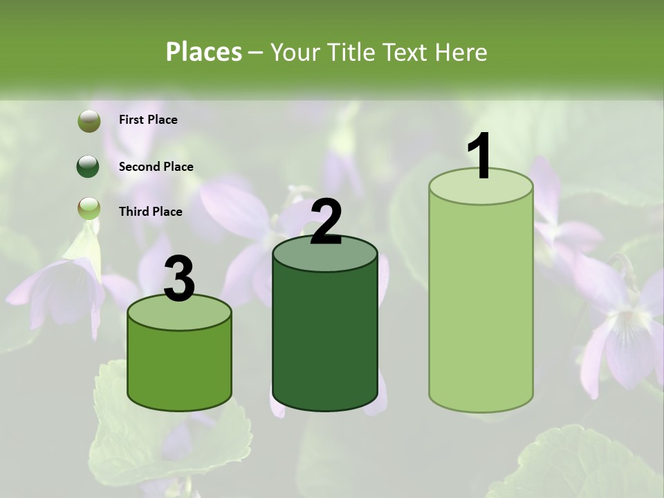 A Group Of Purple Flowers With Green Leaves PowerPoint Template