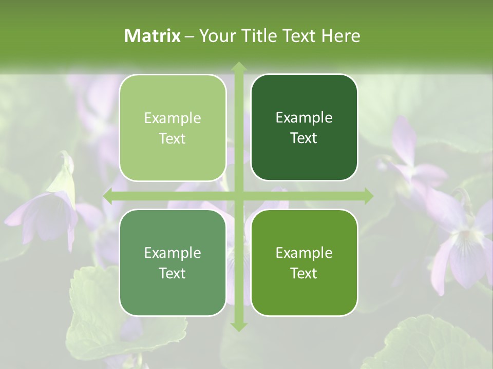 A Group Of Purple Flowers With Green Leaves PowerPoint Template