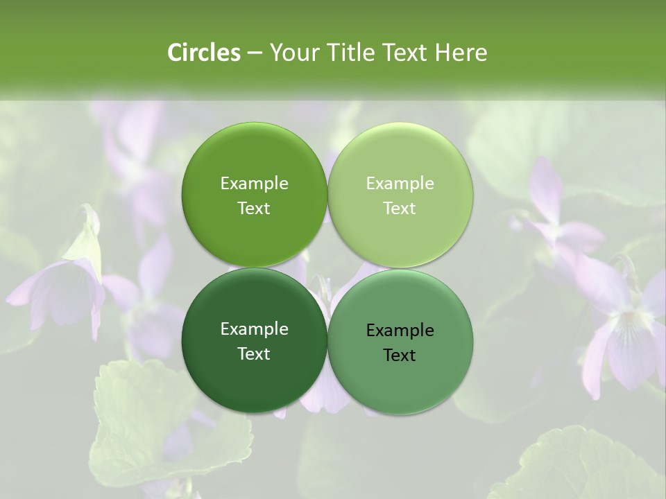 A Group Of Purple Flowers With Green Leaves PowerPoint Template