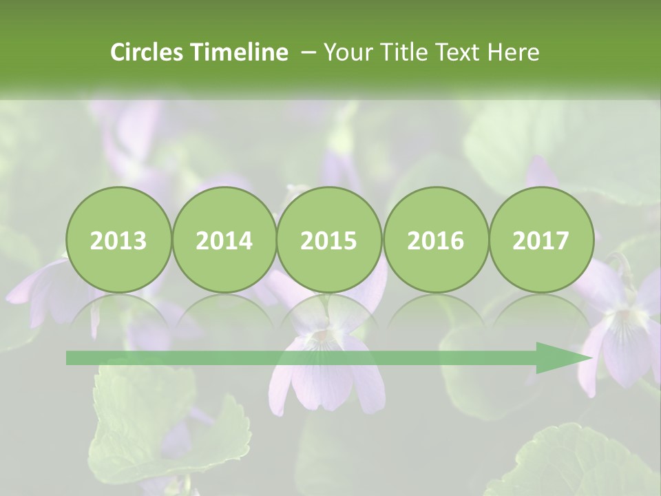 A Group Of Purple Flowers With Green Leaves PowerPoint Template