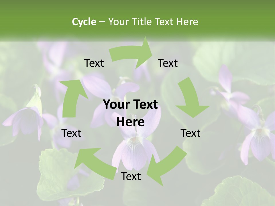 A Group Of Purple Flowers With Green Leaves PowerPoint Template