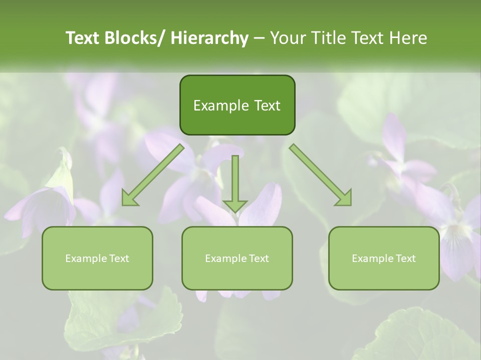 A Group Of Purple Flowers With Green Leaves PowerPoint Template