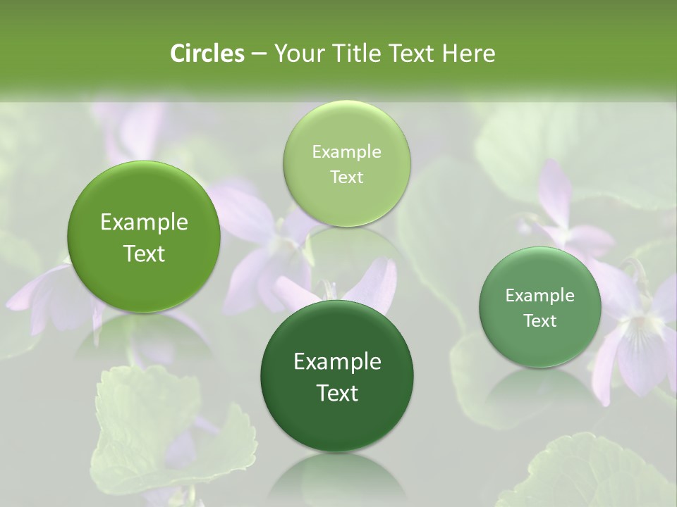 A Group Of Purple Flowers With Green Leaves PowerPoint Template