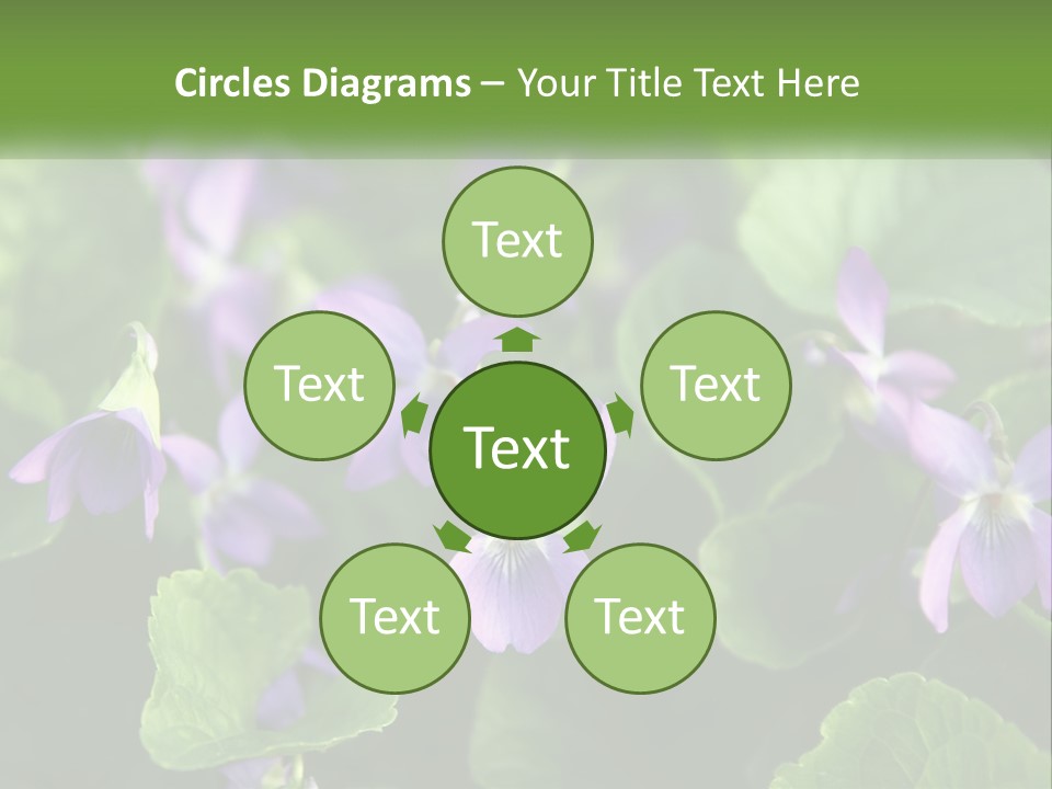 A Group Of Purple Flowers With Green Leaves PowerPoint Template