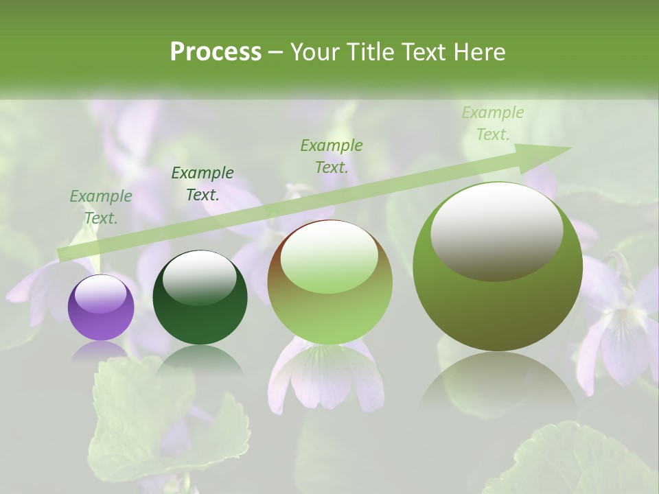 A Group Of Purple Flowers With Green Leaves PowerPoint Template