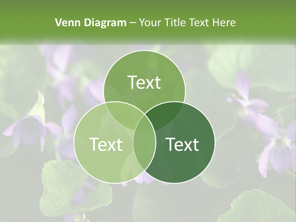 A Group Of Purple Flowers With Green Leaves PowerPoint Template