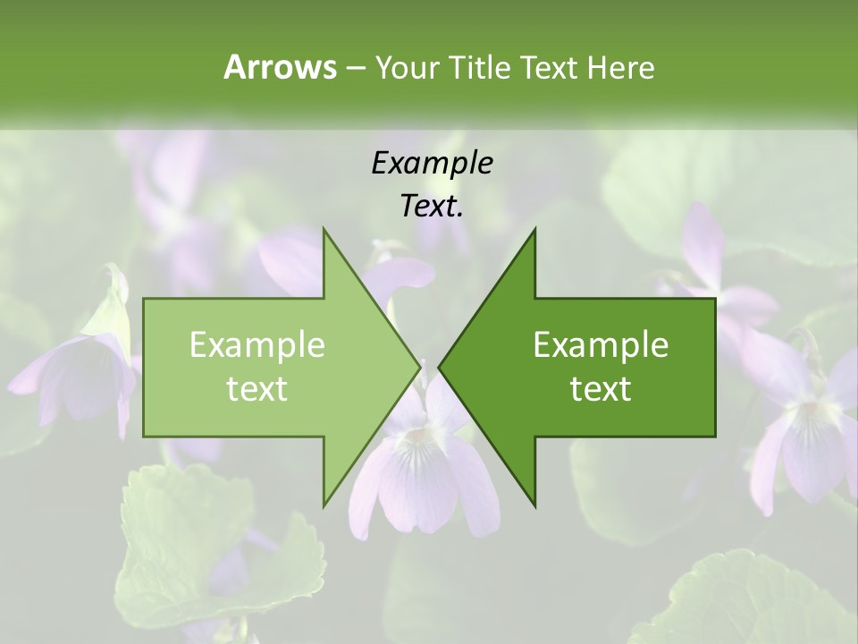 A Group Of Purple Flowers With Green Leaves PowerPoint Template