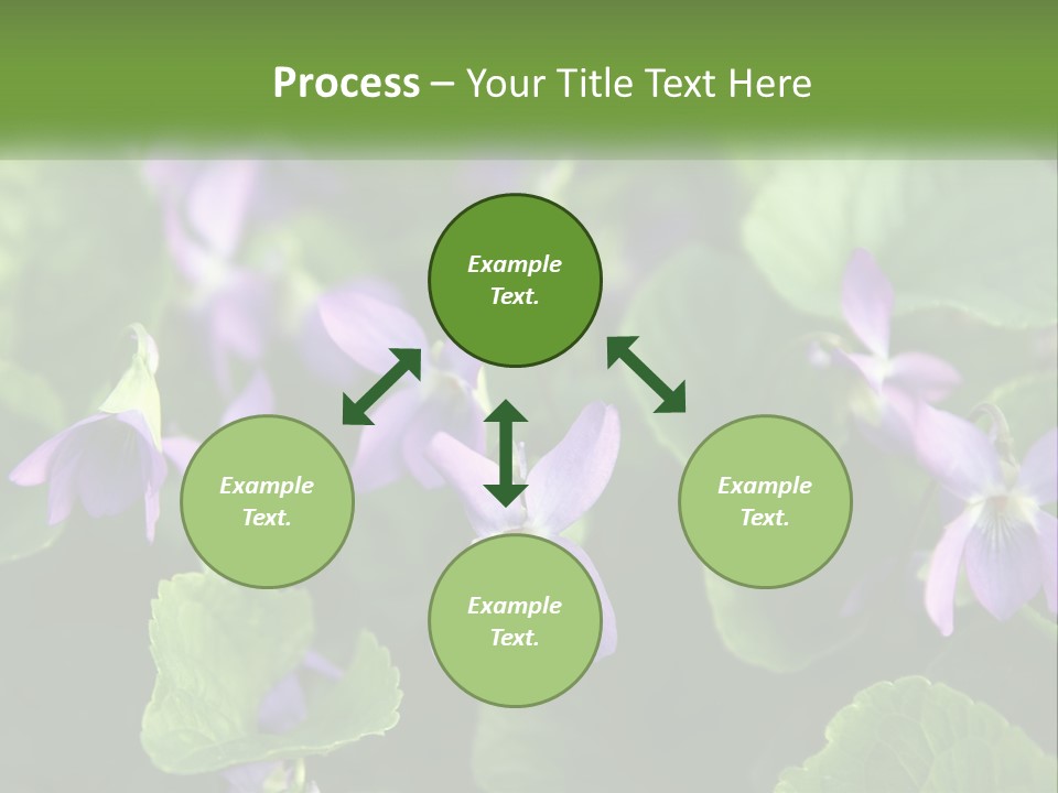 A Group Of Purple Flowers With Green Leaves PowerPoint Template
