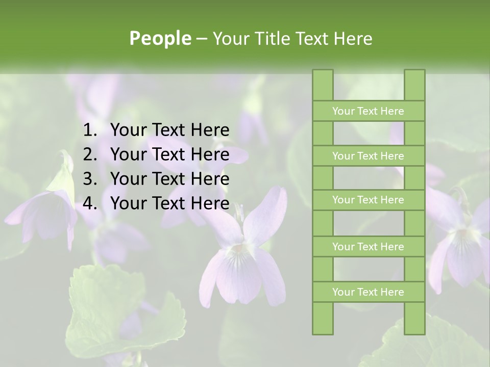 A Group Of Purple Flowers With Green Leaves PowerPoint Template