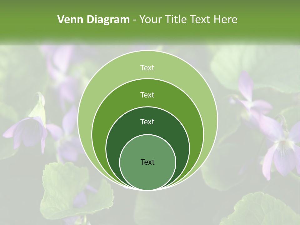 A Group Of Purple Flowers With Green Leaves PowerPoint Template