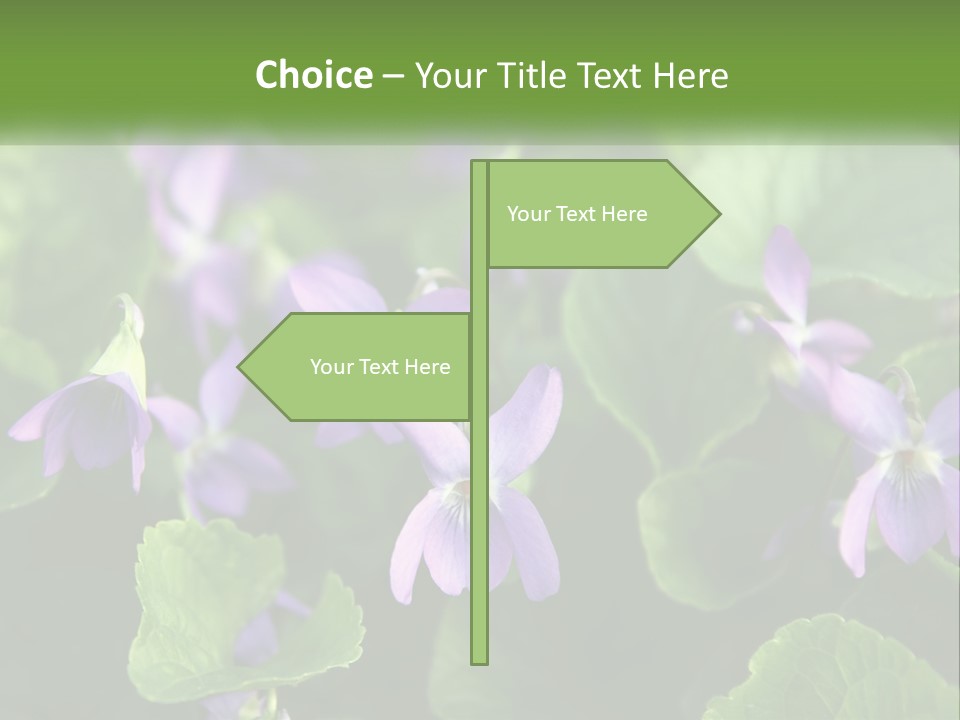 A Group Of Purple Flowers With Green Leaves PowerPoint Template