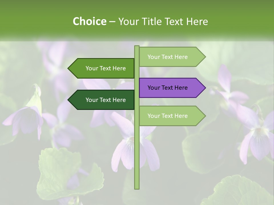 A Group Of Purple Flowers With Green Leaves PowerPoint Template