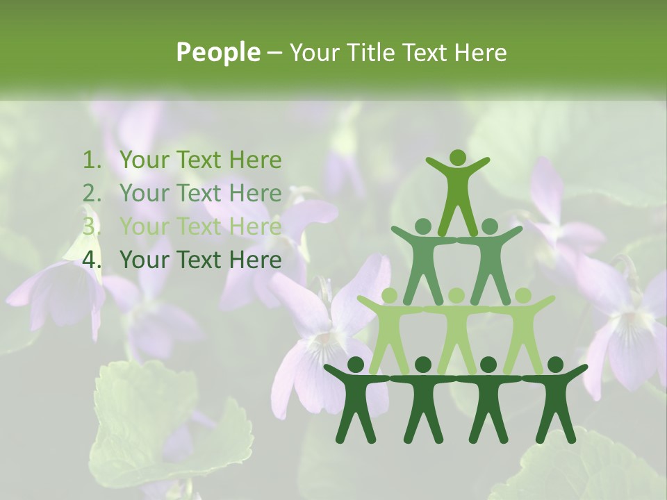 A Group Of Purple Flowers With Green Leaves PowerPoint Template