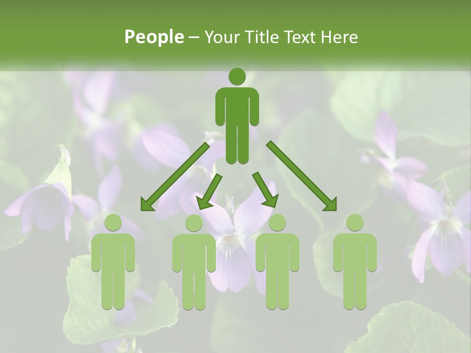 A Group Of Purple Flowers With Green Leaves PowerPoint Template
