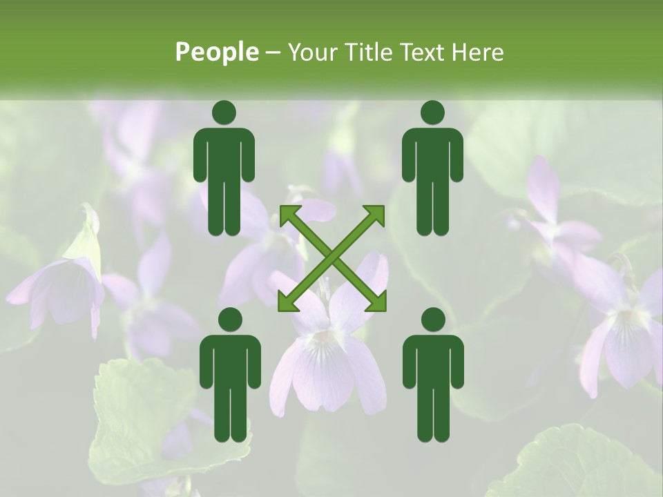 A Group Of Purple Flowers With Green Leaves PowerPoint Template