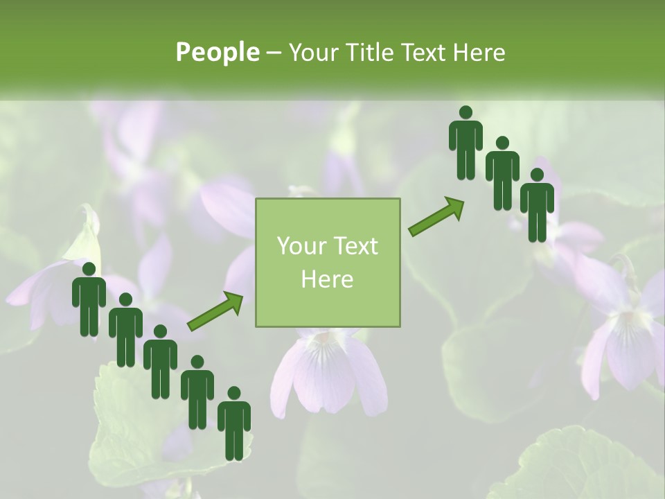 A Group Of Purple Flowers With Green Leaves PowerPoint Template