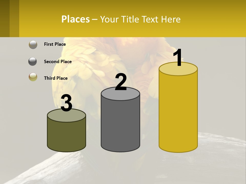 Two Yellow And Green Birds Sitting On Top Of A Tree Branch PowerPoint Template