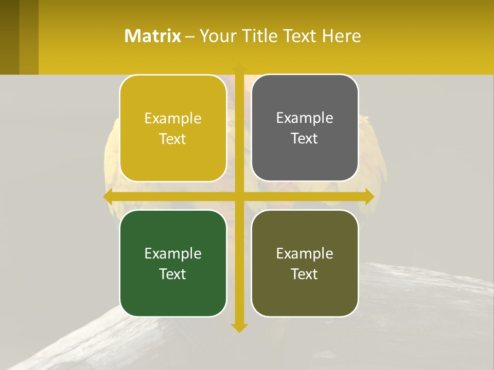 Two Yellow And Green Birds Sitting On Top Of A Tree Branch PowerPoint Template