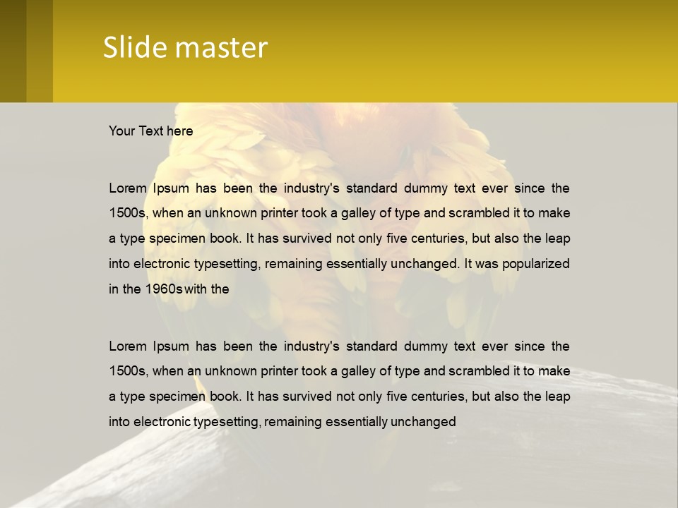 Two Yellow And Green Birds Sitting On Top Of A Tree Branch PowerPoint Template