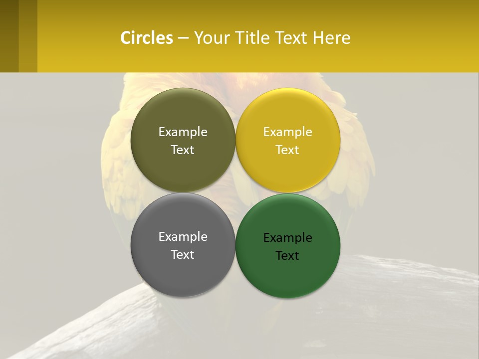 Two Yellow And Green Birds Sitting On Top Of A Tree Branch PowerPoint Template