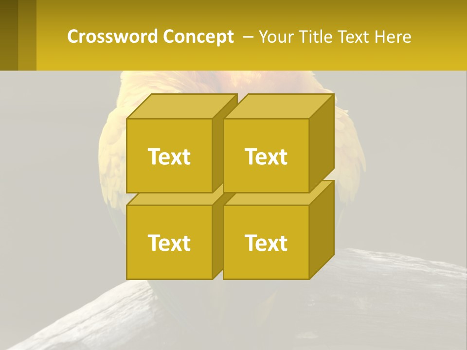 Two Yellow And Green Birds Sitting On Top Of A Tree Branch PowerPoint Template