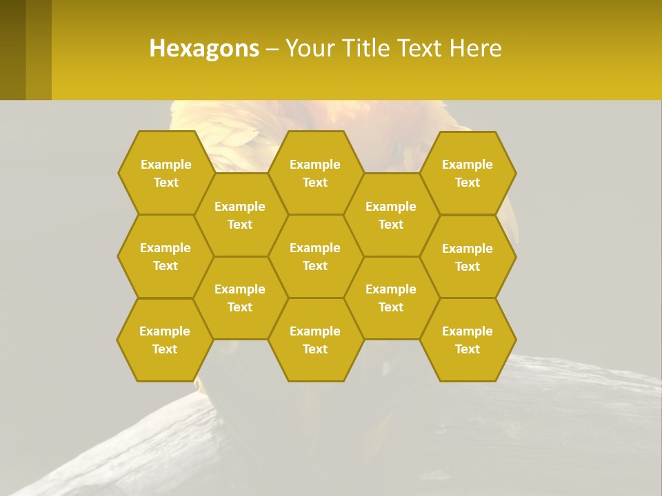 Two Yellow And Green Birds Sitting On Top Of A Tree Branch PowerPoint Template