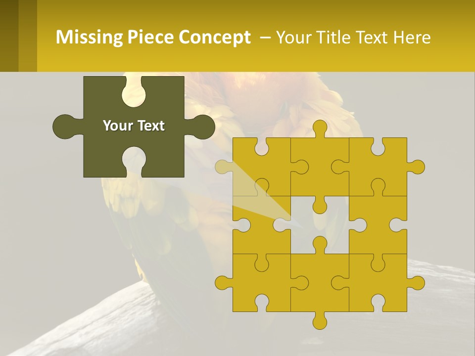 Two Yellow And Green Birds Sitting On Top Of A Tree Branch PowerPoint Template