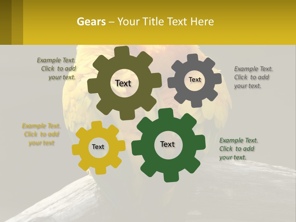 Two Yellow And Green Birds Sitting On Top Of A Tree Branch PowerPoint Template