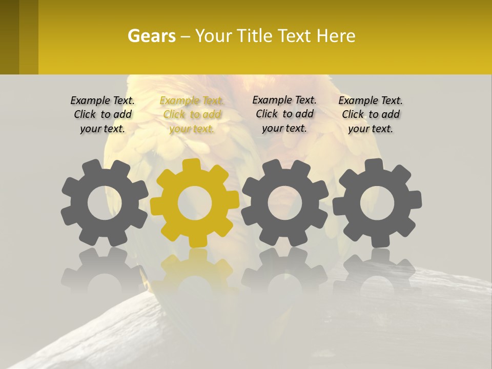 Two Yellow And Green Birds Sitting On Top Of A Tree Branch PowerPoint Template