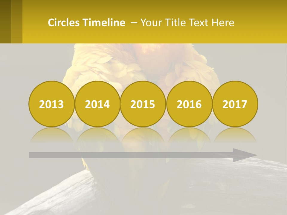 Two Yellow And Green Birds Sitting On Top Of A Tree Branch PowerPoint Template