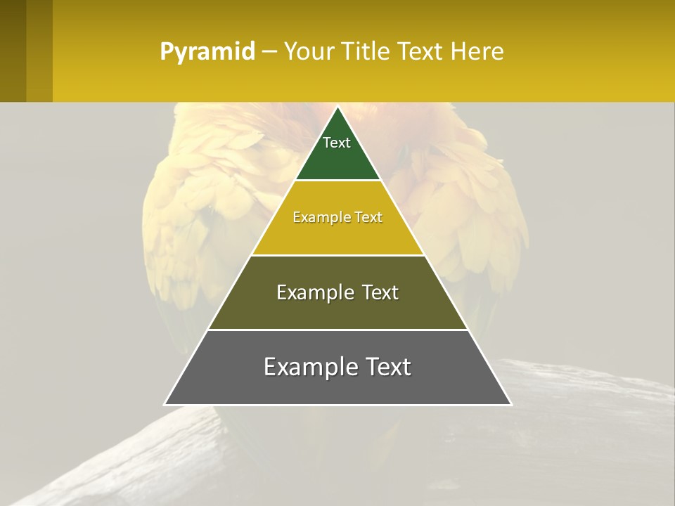 Two Yellow And Green Birds Sitting On Top Of A Tree Branch PowerPoint Template