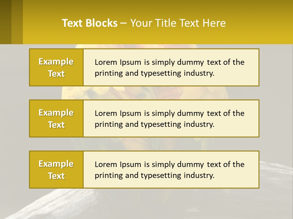 Two Yellow And Green Birds Sitting On Top Of A Tree Branch PowerPoint Template