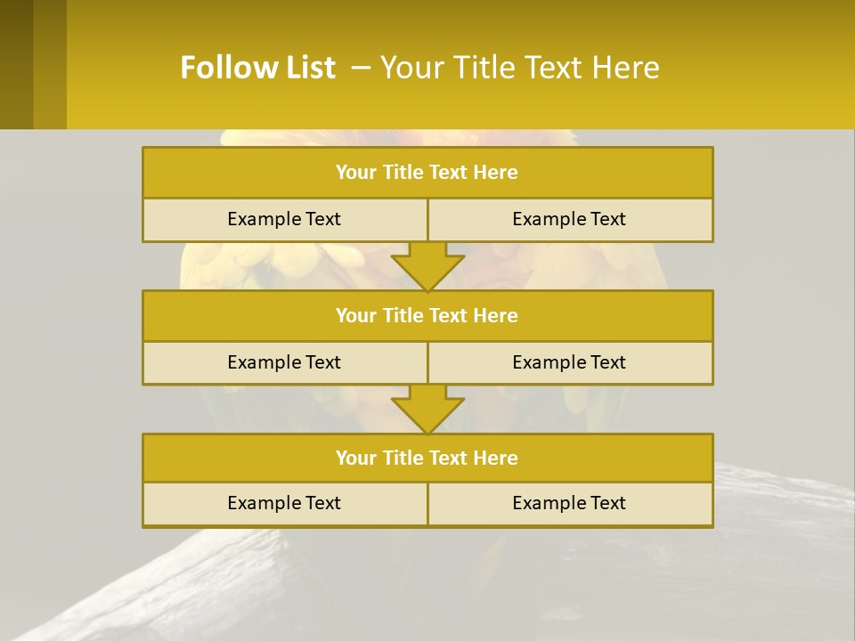Two Yellow And Green Birds Sitting On Top Of A Tree Branch PowerPoint Template