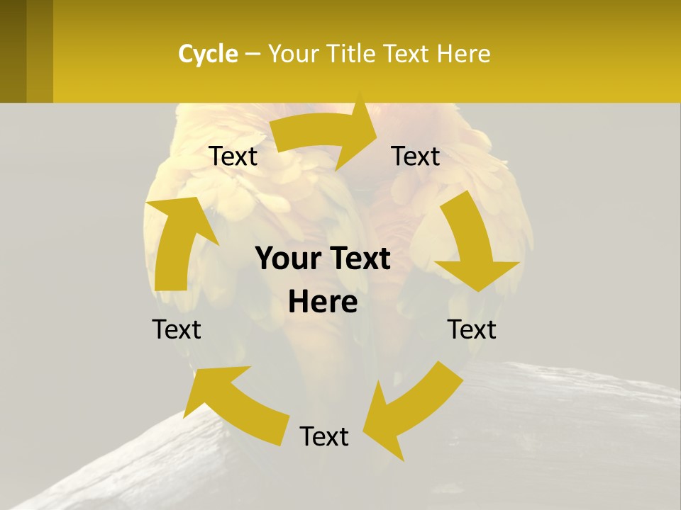 Two Yellow And Green Birds Sitting On Top Of A Tree Branch PowerPoint Template