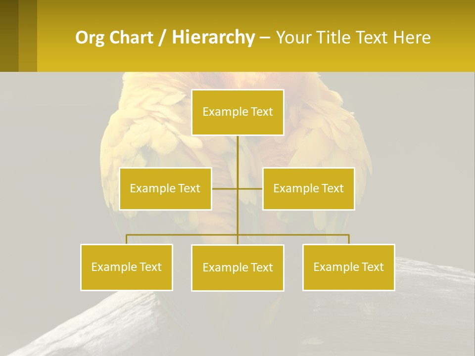 Two Yellow And Green Birds Sitting On Top Of A Tree Branch PowerPoint Template