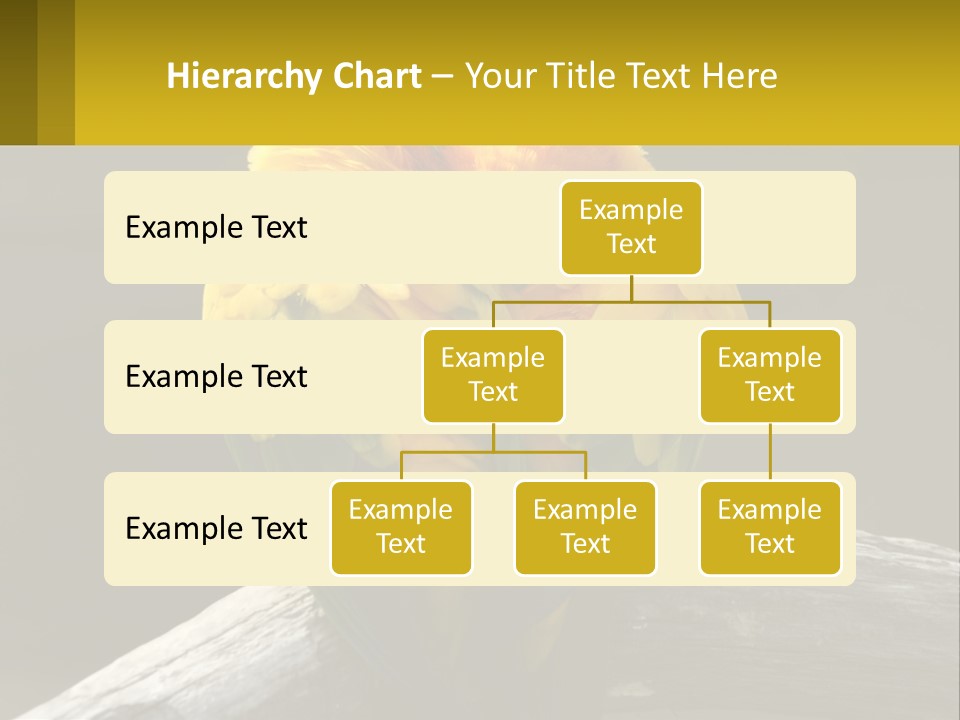 Two Yellow And Green Birds Sitting On Top Of A Tree Branch PowerPoint Template