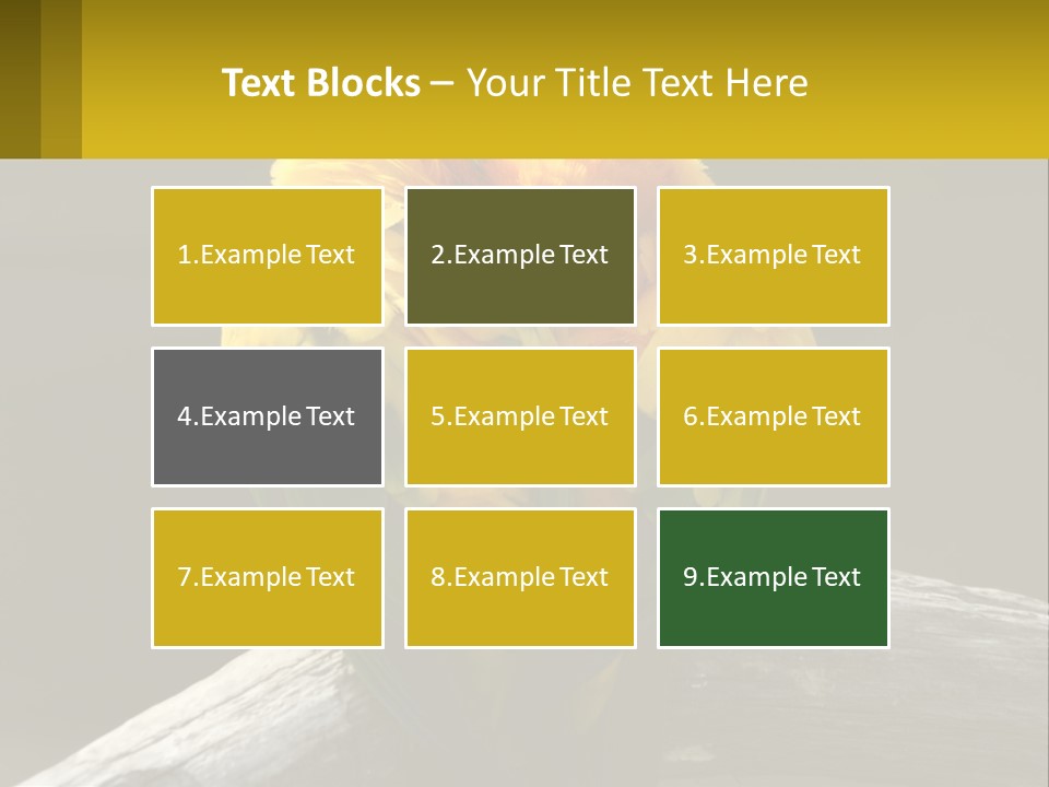 Two Yellow And Green Birds Sitting On Top Of A Tree Branch PowerPoint Template