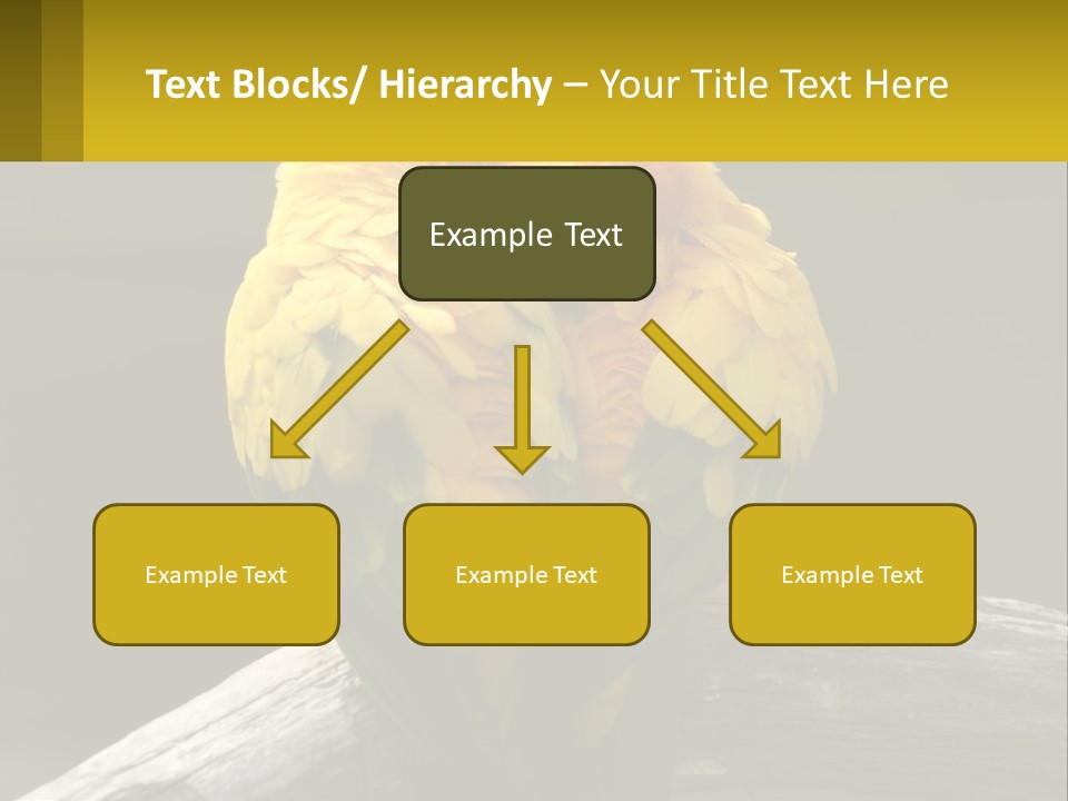 Two Yellow And Green Birds Sitting On Top Of A Tree Branch PowerPoint Template
