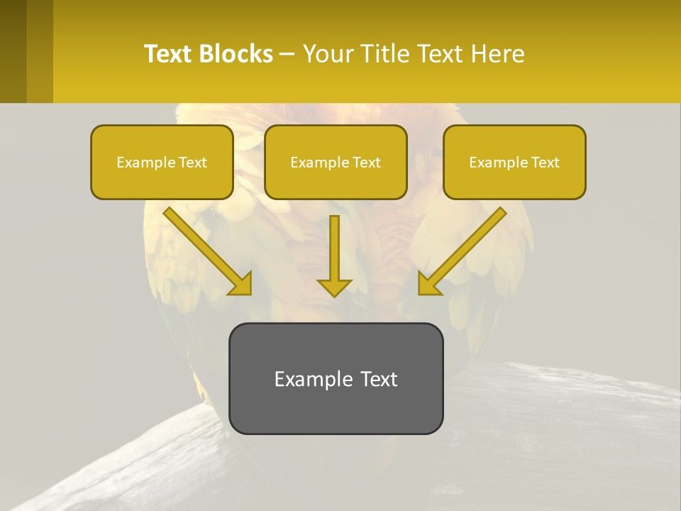 Two Yellow And Green Birds Sitting On Top Of A Tree Branch PowerPoint Template