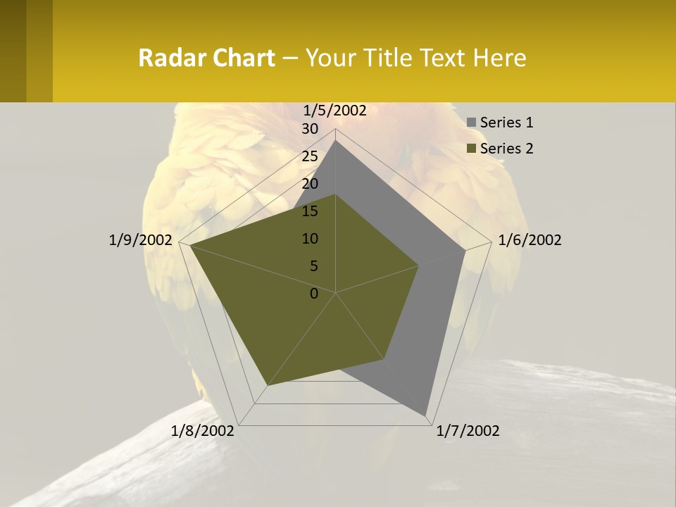 Two Yellow And Green Birds Sitting On Top Of A Tree Branch PowerPoint Template
