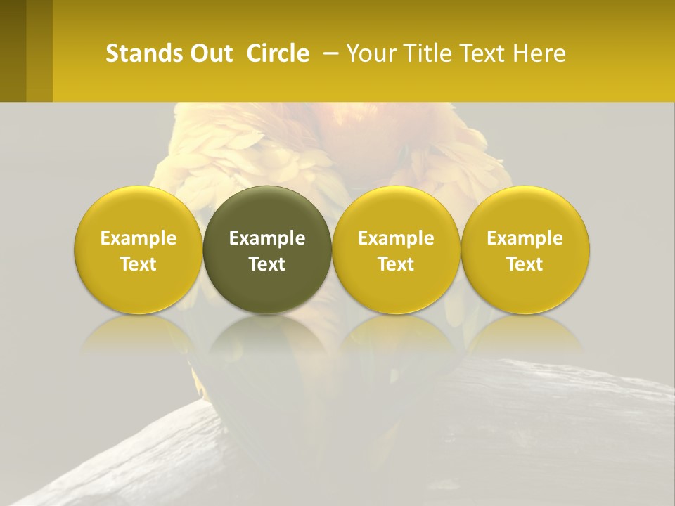 Two Yellow And Green Birds Sitting On Top Of A Tree Branch PowerPoint Template