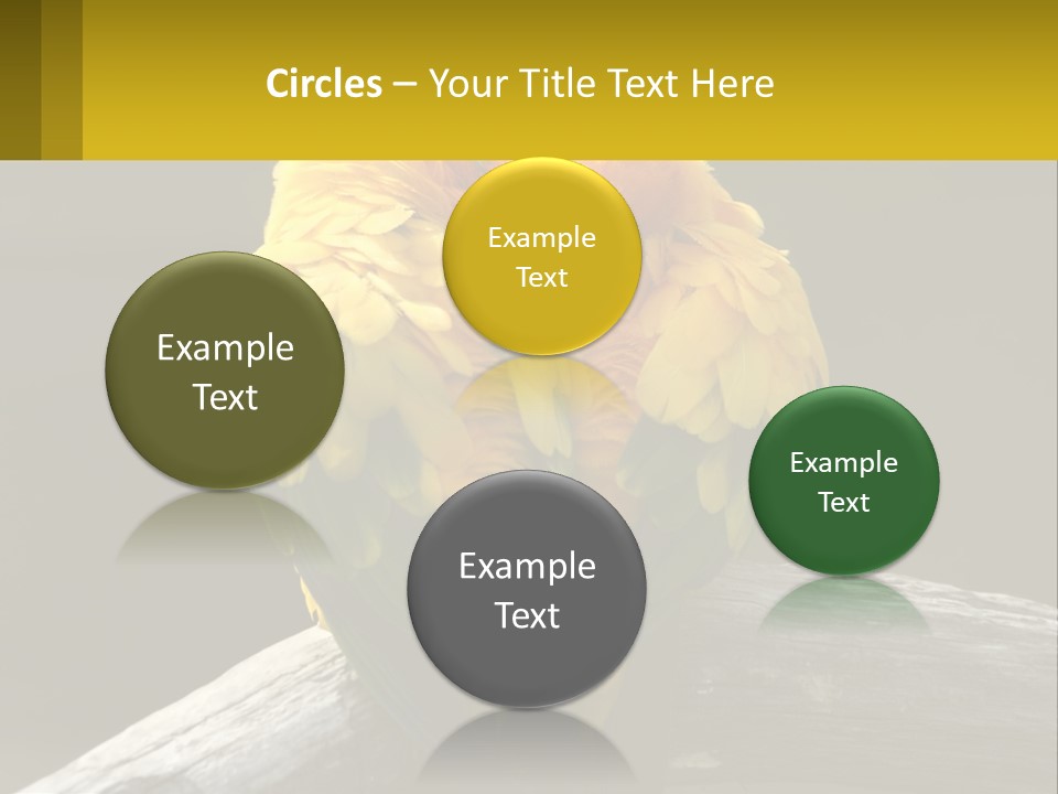 Two Yellow And Green Birds Sitting On Top Of A Tree Branch PowerPoint Template