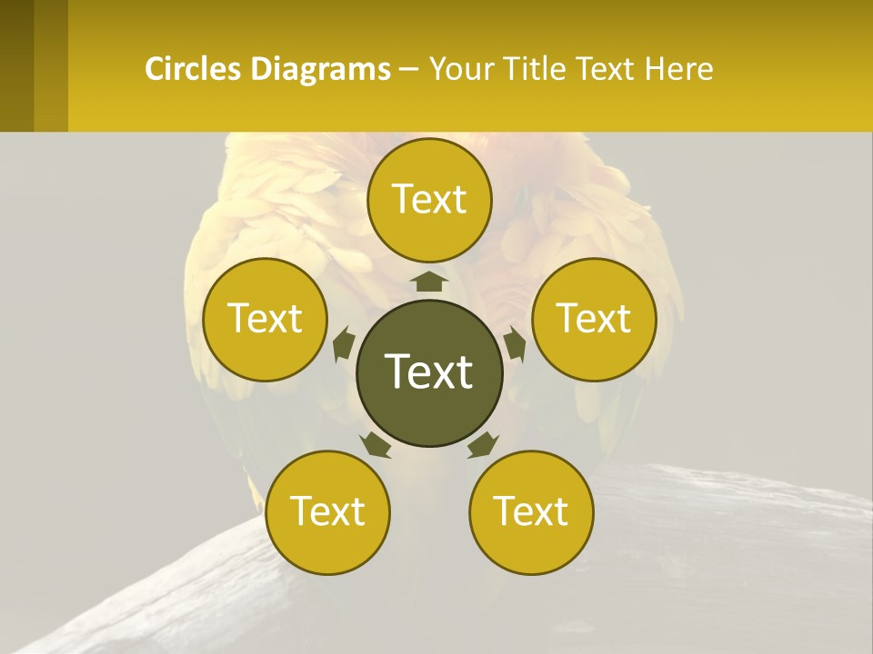 Two Yellow And Green Birds Sitting On Top Of A Tree Branch PowerPoint Template