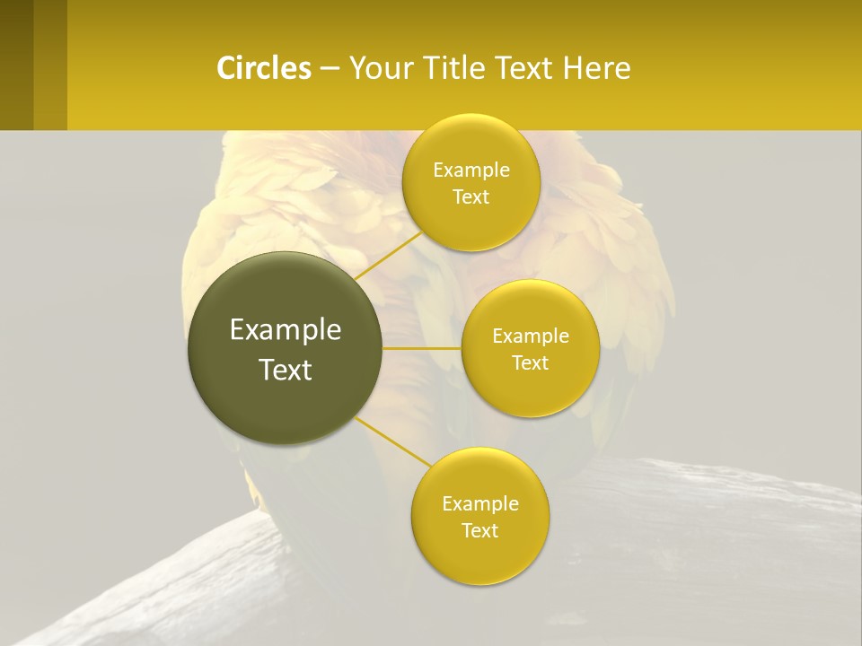 Two Yellow And Green Birds Sitting On Top Of A Tree Branch PowerPoint Template