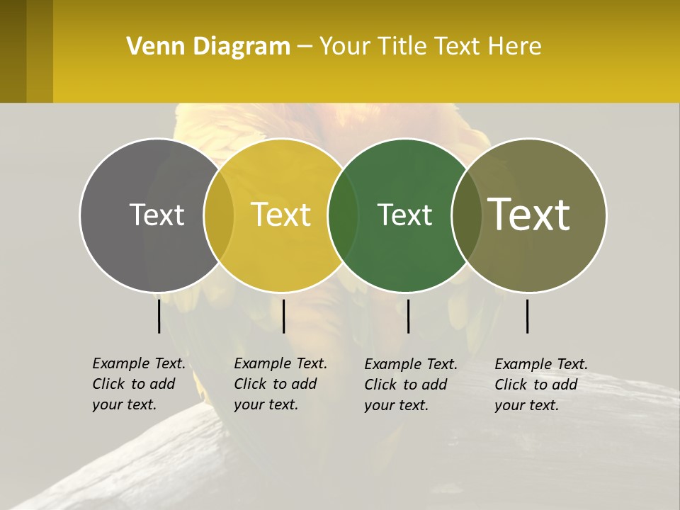 Two Yellow And Green Birds Sitting On Top Of A Tree Branch PowerPoint Template