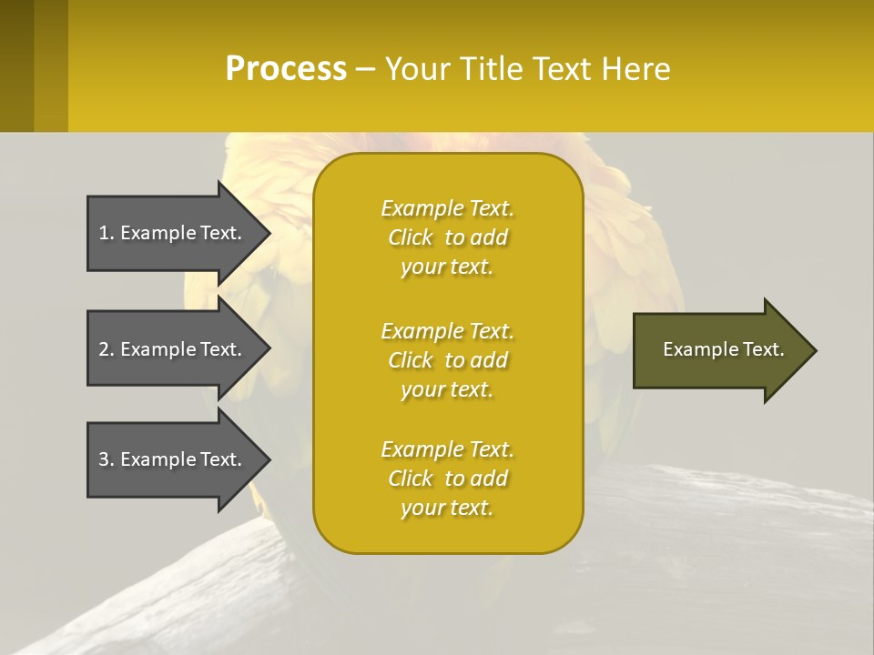 Two Yellow And Green Birds Sitting On Top Of A Tree Branch PowerPoint Template