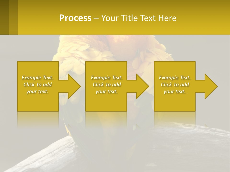 Two Yellow And Green Birds Sitting On Top Of A Tree Branch PowerPoint Template
