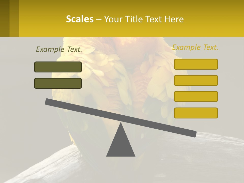 Two Yellow And Green Birds Sitting On Top Of A Tree Branch PowerPoint Template