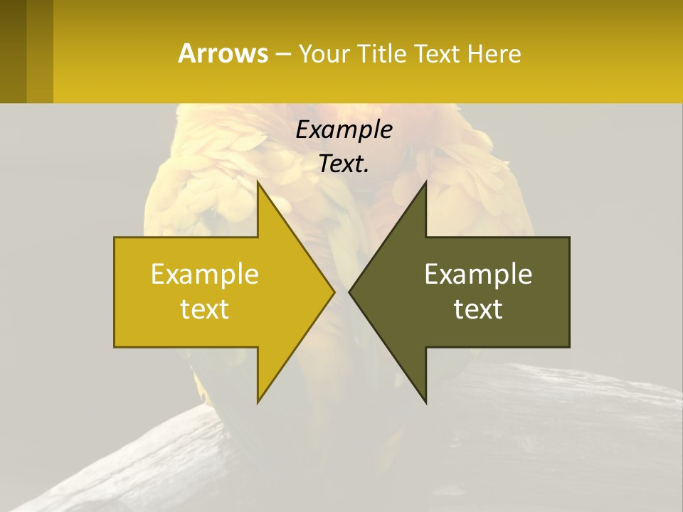 Two Yellow And Green Birds Sitting On Top Of A Tree Branch PowerPoint Template