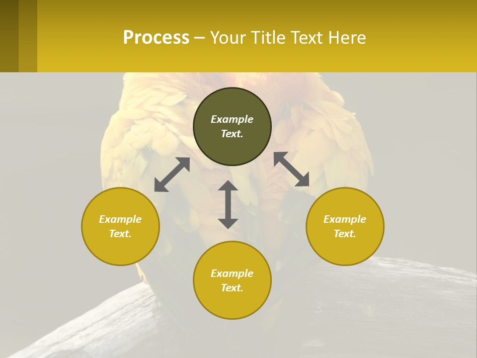 Two Yellow And Green Birds Sitting On Top Of A Tree Branch PowerPoint Template